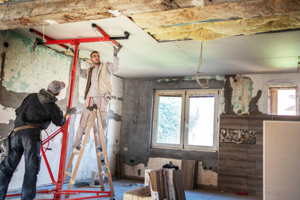 Best Geographic-Specific Insulation Services in Alba, NY