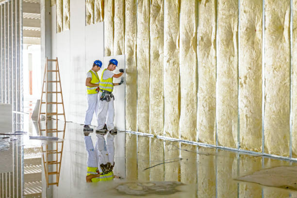 Best Insulation for Specific Applications in Alba, NY